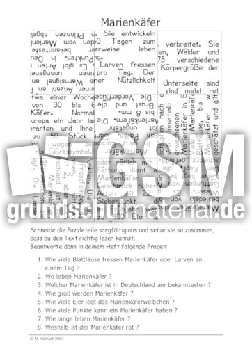 Marienkäfer.pdf